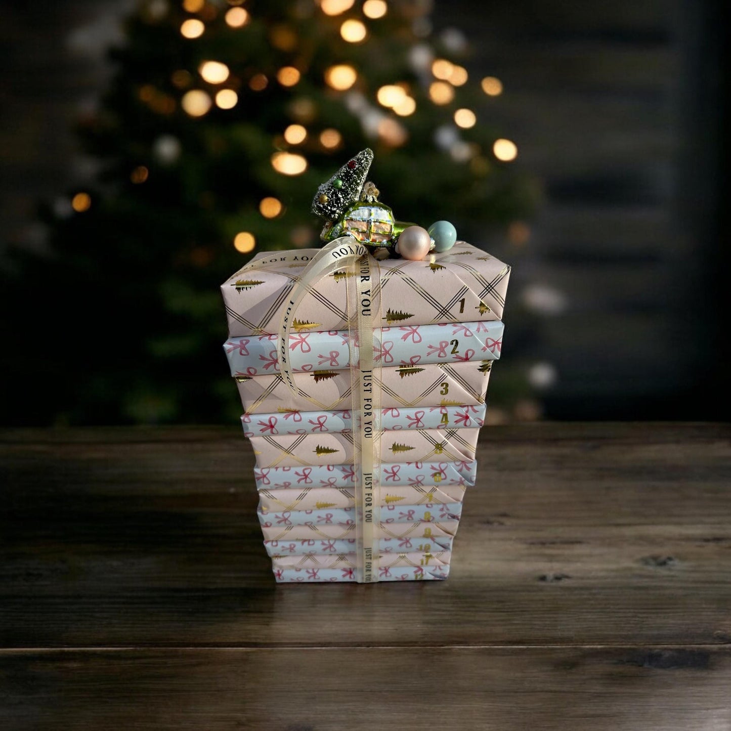 Christmas Blind Date with a Book Gift Holiday Advent Calendar Blind Date with a Book Gift Set Christmas Bookish Gift Bundle For Book Lover