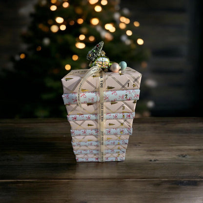 Christmas Blind Date with a Book Gift Holiday Advent Calendar Blind Date with a Book Gift Set Christmas Bookish Gift Bundle For Book Lover