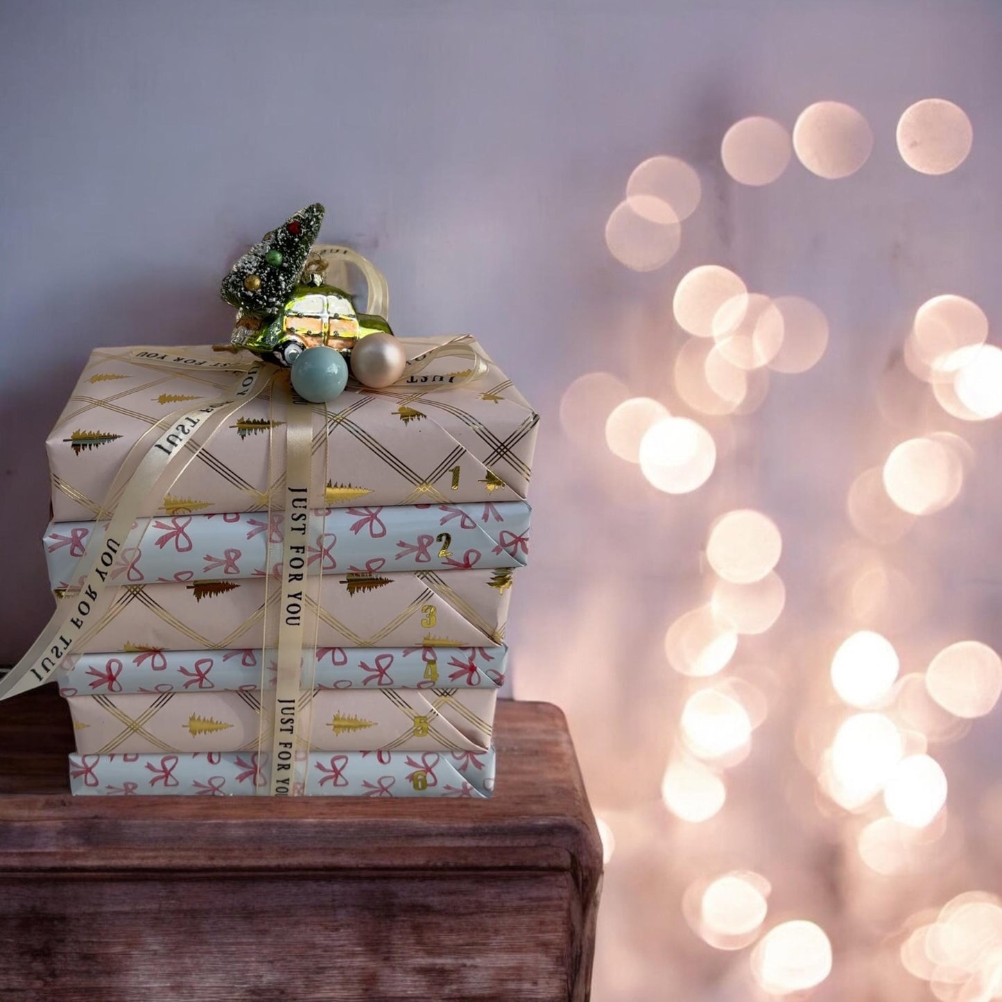 Christmas Blind Date with a Book Gift Holiday Advent Calendar Blind Date with a Book Gift Set Christmas Bookish Gift Bundle For Book Lover