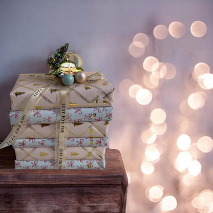 Christmas Blind Date with a Book Gift Holiday Advent Calendar Blind Date with a Book Gift Set Christmas Bookish Gift Bundle For Book Lover