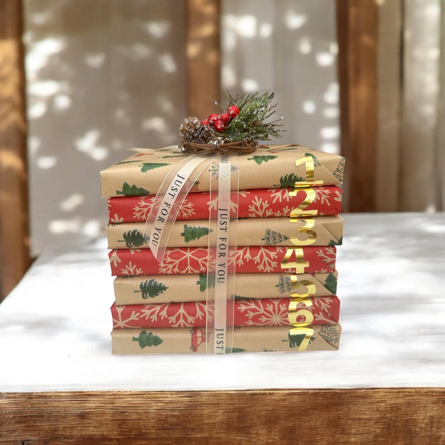 Christmas Blind Date with a Book Gift Holiday Advent Calendar Blind Date with a Book Gift Set Christmas Bookish Gift Bundle For Book Lover