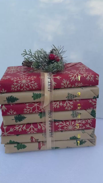 Christmas Blind Date with a Book Gift Holiday Advent Calendar Blind Date with a Book Gift Set Christmas Bookish Gift Bundle For Book Lover
